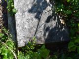 image of grave number 689750